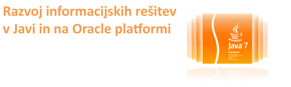 Razvoj IT rešitev po meri